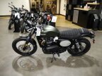 Thumbnail Photo 4 for New 2024 Triumph Street Scrambler