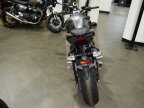 Thumbnail Photo 2 for New 2024 Triumph Street Triple R