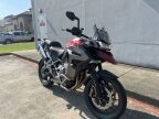 Thumbnail Photo 1 for New 2024 Triumph Tiger 1200 GT Explorer