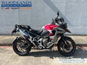 New 2024 Triumph Tiger 1200 GT Explorer