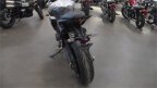 Thumbnail Photo 4 for New 2024 Triumph Tiger 660 Sport