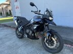 Thumbnail Photo 1 for New 2024 Triumph Tiger 850 Sport