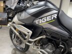 Thumbnail Photo 5 for New 2024 Triumph Tiger 900 Rally Aragon Edition
