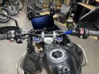 Thumbnail Photo 6 for New 2024 Triumph Tiger 900 Rally Aragon Edition