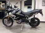 Thumbnail Photo 1 for New 2024 Triumph Tiger 900 Rally Aragon Edition
