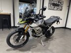 Thumbnail Photo 3 for New 2024 Triumph Tiger 900 Rally Aragon Edition