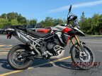 Thumbnail Photo 6 for 2024 Triumph Tiger 900 Rally Pro