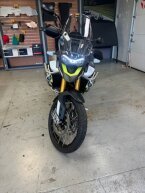 Thumbnail Photo 1 for 2024 Triumph Tiger 900 Rally Aragon Edition