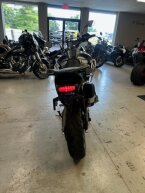 Thumbnail Photo 3 for 2024 Triumph Tiger 900 Rally Aragon Edition
