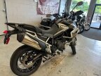 Thumbnail Photo 5 for 2024 Triumph Tiger 900 Rally Aragon Edition