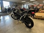 Thumbnail Photo 6 for 2024 Triumph Tiger 900 Rally Aragon Edition