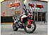 2024 Triumph Tiger 900