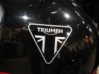 Thumbnail Photo 6 for New 2024 Triumph Trident 660
