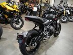 Thumbnail Photo 1 for New 2024 Triumph Trident 660