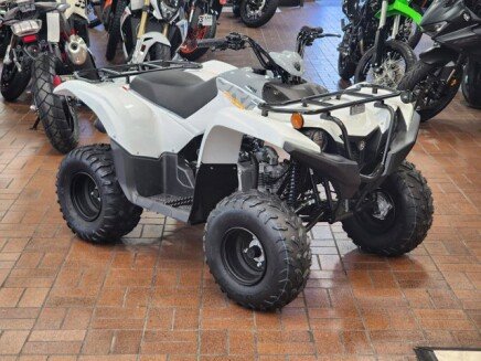 Photo 1 for New 2024 Yamaha Grizzly 90
