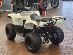 Thumbnail Photo 4 for New 2024 Yamaha Grizzly 90