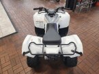 Thumbnail Photo 5 for New 2024 Yamaha Grizzly 90