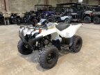 Thumbnail Photo 2 for New 2024 Yamaha Grizzly 90