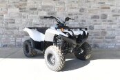 New 2024 Yamaha Grizzly 90