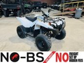 New 2024 Yamaha Grizzly 90