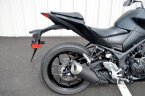 Thumbnail Photo 2 for 2024 Yamaha MT-03