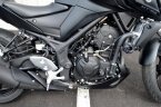Thumbnail Photo 3 for 2024 Yamaha MT-03