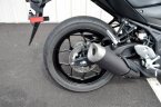 Thumbnail Photo 1 for 2024 Yamaha MT-03