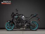 Thumbnail Photo 5 for 2024 Yamaha MT-03