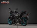 Thumbnail Photo 4 for 2024 Yamaha MT-03