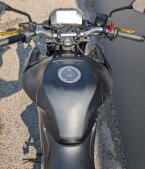 Thumbnail Photo 6 for 2024 Yamaha MT-03