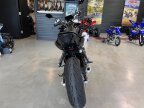 Thumbnail Photo 6 for 2024 Yamaha MT-07