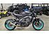 2024 Yamaha MT-09