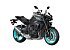 2024 Yamaha MT-10