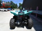 Thumbnail Photo 5 for New 2024 Yamaha Raptor 110