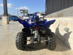 Thumbnail Photo 3 for New 2024 Yamaha Raptor 110