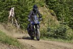 Thumbnail Photo 5 for New 2024 Yamaha Tenere