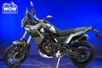 Thumbnail Photo 3 for 2024 Yamaha Tenere