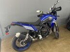 Thumbnail Photo 3 for 2024 Yamaha Tenere
