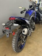 Thumbnail Photo 4 for 2024 Yamaha Tenere