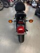 Thumbnail Photo 3 for 2024 Yamaha V Star 250