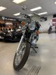 Thumbnail Photo 1 for 2024 Yamaha V Star 250