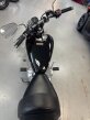 Thumbnail Photo 4 for 2024 Yamaha V Star 250