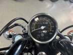 Thumbnail Photo 6 for 2024 Yamaha V Star 250