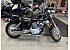 2024 Yamaha V Star 250