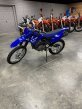 Thumbnail Photo 1 for New 2024 Yamaha WR250F