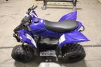 Thumbnail Photo 2 for New 2024 Yamaha YFZ50