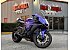 2024 Yamaha YZF-R1