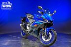 Thumbnail Photo 1 for 2024 Yamaha YZF-R3