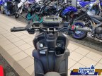 Thumbnail Photo 4 for New 2024 Yamaha Zuma 125