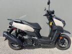Thumbnail Photo 1 for 2024 Yamaha Zuma 125